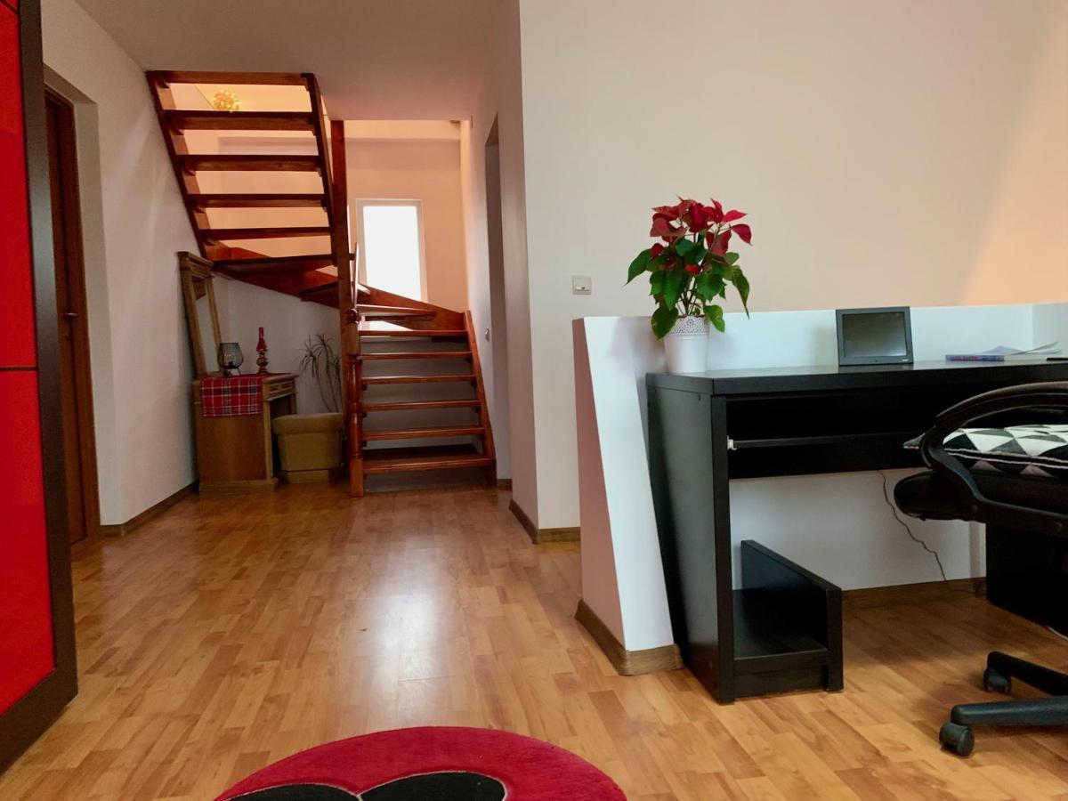 브라쇼브 Casa Costache 빌라 외부 사진